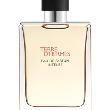 Terre d’Hermès Intense for Man
