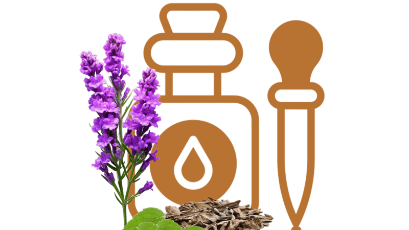 Perfume Oils vs Sprays: Which One Fits Your Routine?