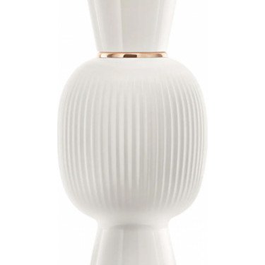 Magnolia Radiance