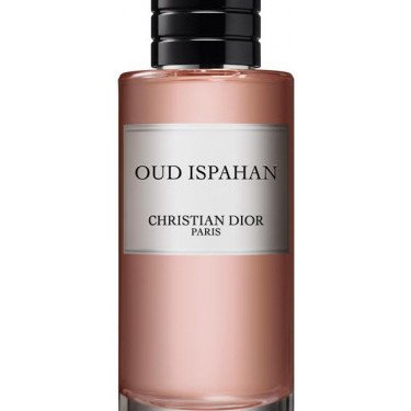 Isfahan Rose