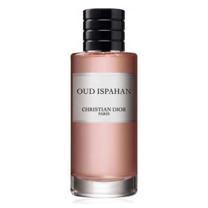 Isfahan Rose