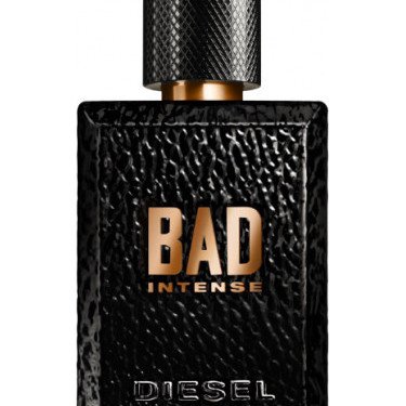Leather Rebellion · Intense