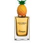 Tropical Summit