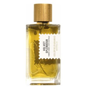 Luxe Embrace
