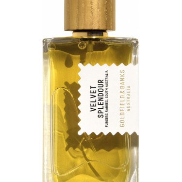 Luxe Embrace