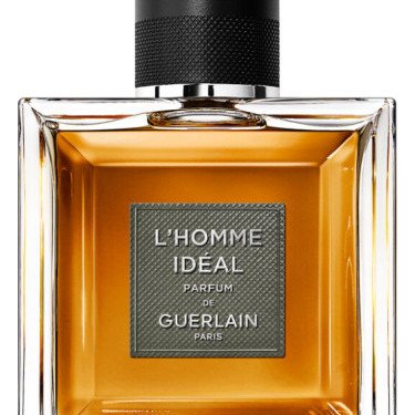 Noble Oud Reverie