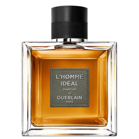 Noble Oud Reverie