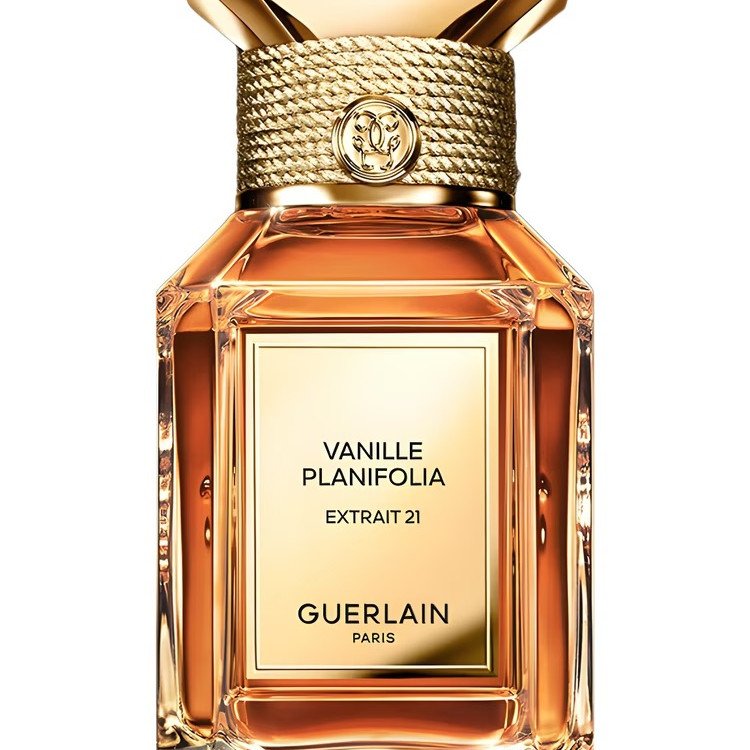 Vanille Planifolia Extrait 21 for Unisex Top