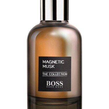 Attraction Field
