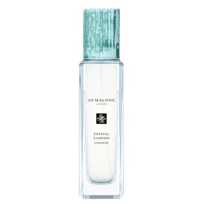 Petal Compass · Cologne