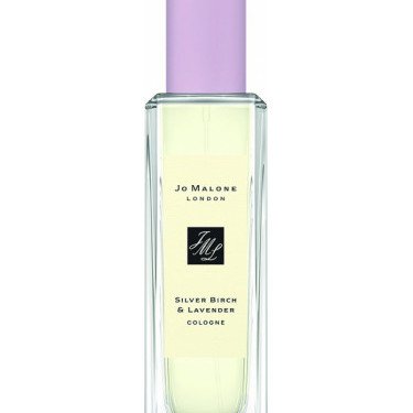 Birch Grove · Cologne