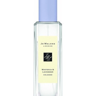 Purple Trellis · Cologne