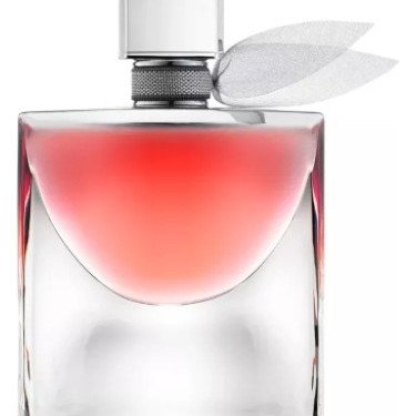 Absolute Reverie · Absolu