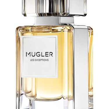 Fougere Furieuse for Unisex Top