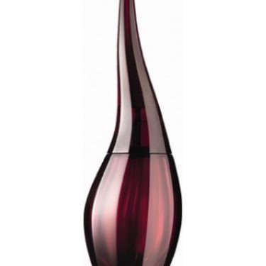 Cipher's Veil