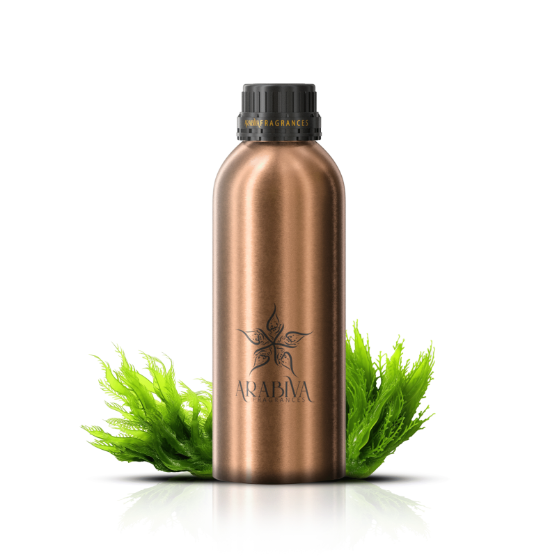 Algae