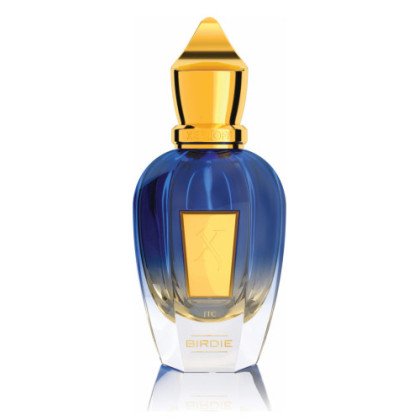 Eagle's Flight